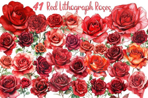 Red Lithograph Roses Clipart: A Designer's Vintage Toolkit